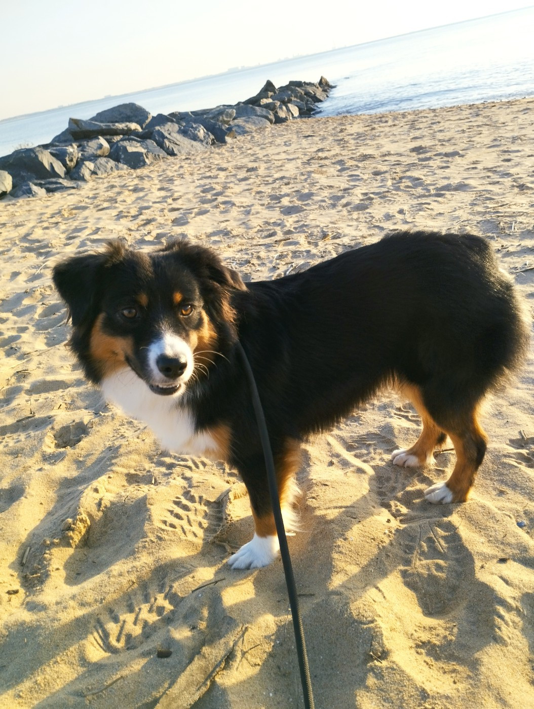 Uranie des merveilles d'ilona