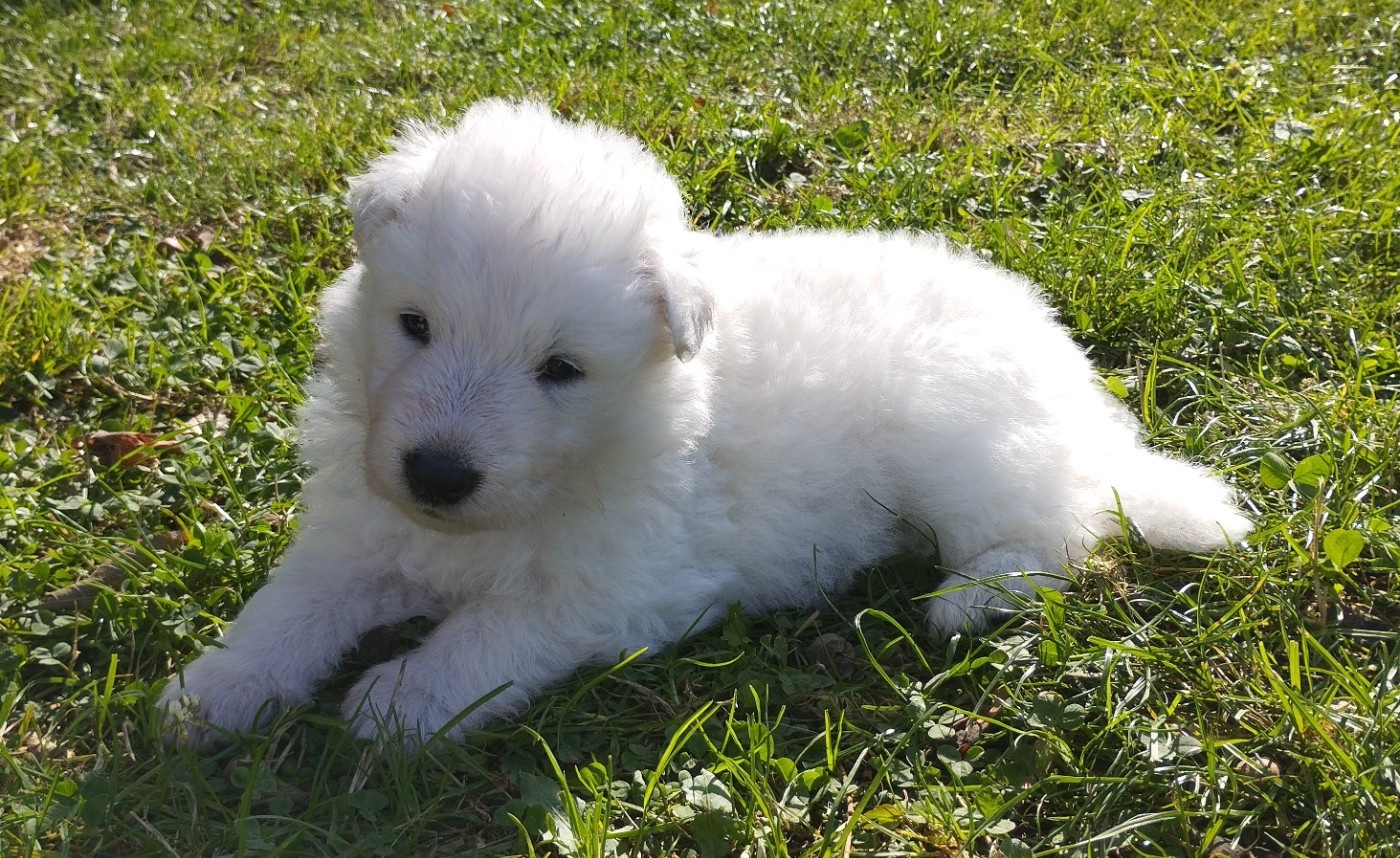 naissance prévue pour début décembre